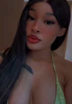 Blowjob Queen Escort Adaline Jumeirah +37281669440 Dubai